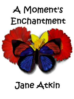 cover image of A Moment's Enchantment